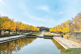 愿文心常伴岁月图片