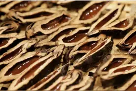 “下架风波”中的槟榔：曾经的网红食品与背后的产业王国图片