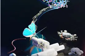 我科学家破译几丁质生物合成机制 农药基础研究取得里程碑式成就图片