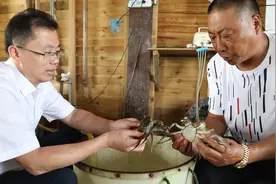 大闸蟹为何能断肢再生？上海科研人员揭开秘密图片