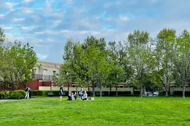 封锁恶果延续 澳洲1/5职位空缺因移民短缺引起图片