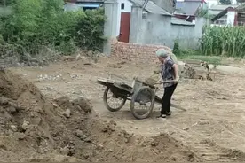 河南挖机师傅用“铁爪”帮大娘装土被回赠月饼苹果：只是举手之劳图片