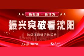 振兴突破看沈阳∣老屋新模样，幸福千万家图片