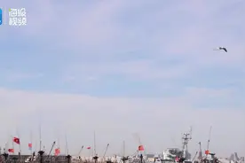 国庆节临近，日照海鲜什么价？最新价格表来了图片