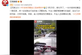 无妄之灾！牛受惊后一路狂奔，将路边老人顶翻在地图片