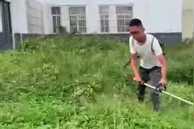 云南农大学生回应毕业论文被鸡吃了：段子源于亲身经历视频封面