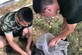 热门宠物弃养背后，消费者冲动性购买，专家：随意丢弃可能涉嫌犯罪图片