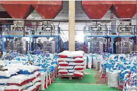 博达集团 做最懂非洲的中国企业图片