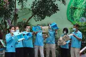 从幼虫到蝶蛹羽化，上海动物园赏蝶季将放飞近5万只乡土蝴蝶图片