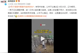 男子清理羊圈遭羊偷袭顶伤，网友：今晚有涮羊肉吃了图片