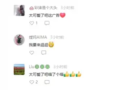 这只猫成了今日奉贤“顶流”！原来是网友创意作品图片