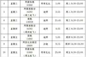 驻迪拜总领馆发布更新赴华人员检测及健康码申请要求图片