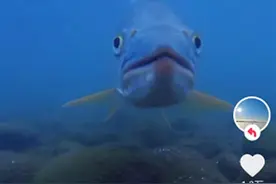 在水下 遇见更好的长江图片