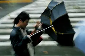 00后老师撕了什么伞？网络造“梗”还能好好说话吗？图片