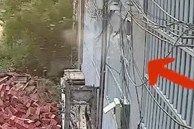 熬粥也会爆炸？！使用高压锅，这些要注意图片