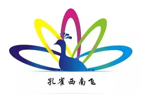 孔雀西南飞专家黄志勇在中国—东盟博览会升级发展专家座谈会上的发言图片