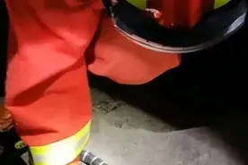 女孩网购毒蛇当宠物，一个月后毒发身亡图片