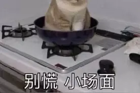 爸妈做饭也太会糊弄了吧哈哈哈哈哈哈哈哈哈哈图片