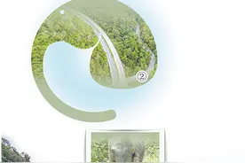 北上南归的象群近况怎样？当初的象宝宝已有300公斤图片