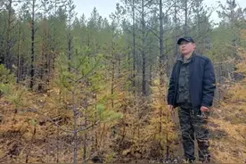 大兴安岭护林员：看着林木长大，这些年工作没白干图片