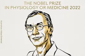 诺奖解读｜古DNA破解人类从何而来，一项“几乎不可能的任务”图片