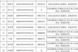 海南交警公布一批终身禁驾人员名单图片