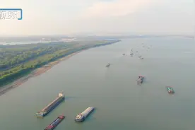 记者直击 | 湿地公园落日熔金，芦萩香蒲迎风摇曳图片