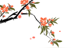 【新安夜空】第145期｜伍劲标：野桃花图片