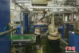 跨国企业建言上海“双碳”之路：在绿色转型中提升城市影响力图片