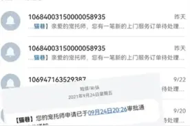 又一新型职业突然爆火！“宠托师”国庆假期日赚600元图片