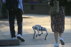 “第一批遛机械狗的人”上热搜，意味着什么？| 新京报快评图片