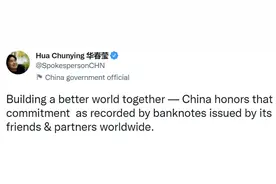 与中国“联名”！华春莹连发13张图，意味深长图片