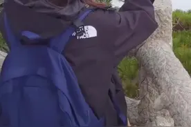国庆假期进入尾声 黄山风景区客流平稳回落图片