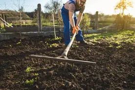 花园“小捣蛋”如何解决？两阶段攻略请拿走图片