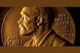 2022诺贝尔生理学或医学/物理学/化学奖揭晓，为什么是他们？图片