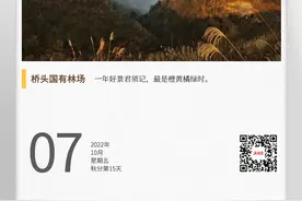 湖湘自然历丨金秋硕果⑦秋之灿烂，橘之海洋图片