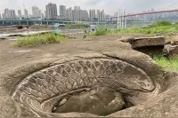 南滨路长江边“游”来一群“鱼”  快来找到它们吧！视频封面