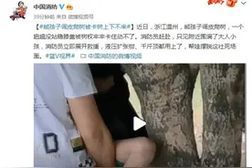 熊孩子调皮爬树被卡树上下不来 消防员立即展开救援图片