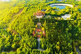 山东好景丨雅鹿山公园呈现秋日妙景图片