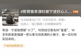 礼貌嗑瓜子的宁波独臂猴“火了”！村民给它取名叫“星星”：还请尽量不要打扰它图片