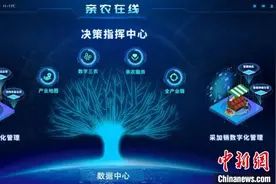 浙江仙居富农新招：为杨梅种植插上数字翅膀图片