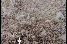 走过千山万水，山重水复，笑看风云图片