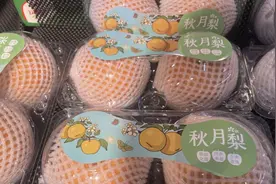 阳光玫瑰葡萄价格“跳水”后，“梨界爱马仕”秋月梨也降价了图片