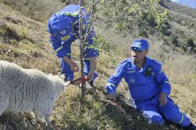 北京房山老乡刚买的羊逃进深山！18名队员集结救助图片