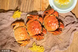 时令风物｜中国人吃蟹简史图片