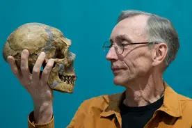 人类是如何演化而来的？2022年诺贝尔生理学或医学奖解读图片