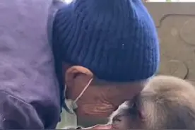 网红独臂猴被老太投喂十多年，羊祜殿回应：已至晚年，将养到终老图片