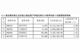 首份基金三季报出炉：多只白马蓝筹股跻身重仓序列，基金经理中长期将重点关注大消费板块图片