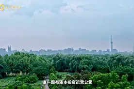 聚焦风口产业，洛阳工业领域国资平台御“风”而行图片