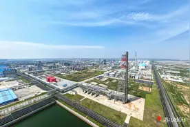 湛江：带动现代化沿海经济带西翼强劲舞动图片